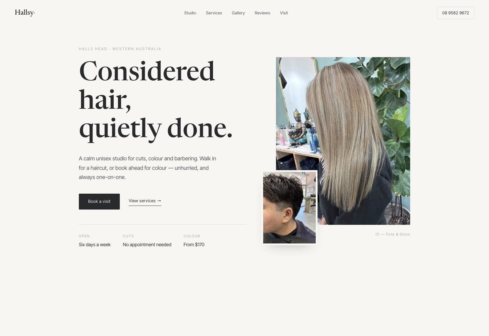 hallsy website preview